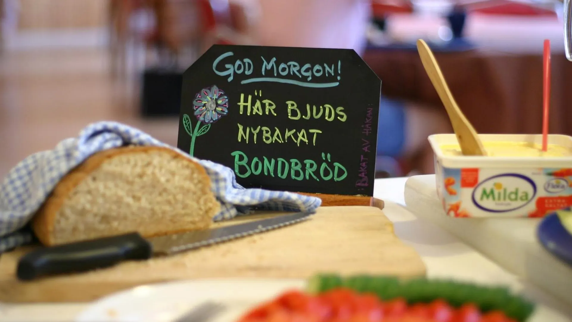 Slottsskogens Vandrarhem Göteborg